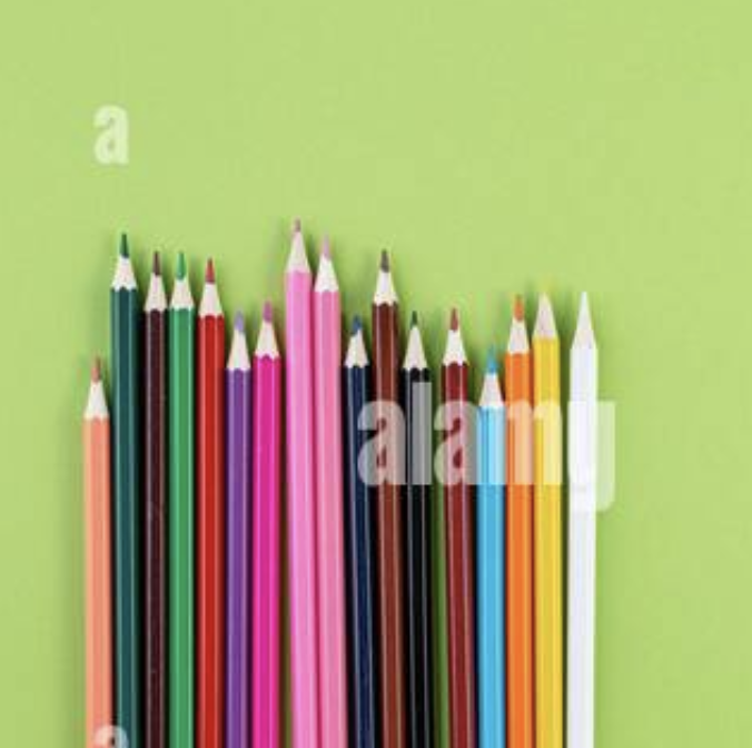 Premium Notebooks Set